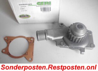 Wasserpumpe Geri 317010 Ford | NT406